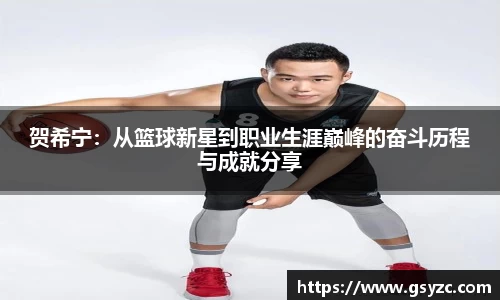 贺希宁：从篮球新星到职业生涯巅峰的奋斗历程与成就分享