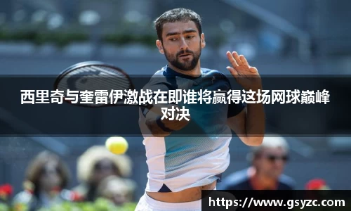 西里奇与奎雷伊激战在即谁将赢得这场网球巅峰对决